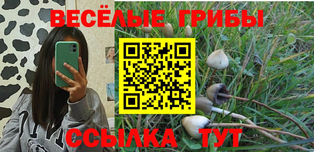 продажа наркотиков  Вход с VPN  Сафоново  Псилоцибиновые грибы Cubensis 