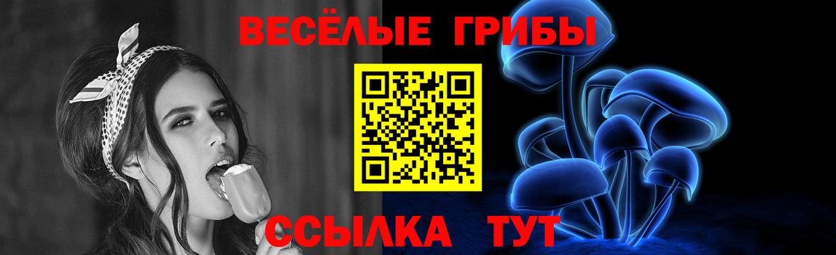 Псилоцибиновые грибы Psilocybe Сафоново